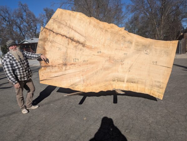 S014-5 Silver Maple Live-Edge Slab  ** Call or Email for Sales & Shipping **