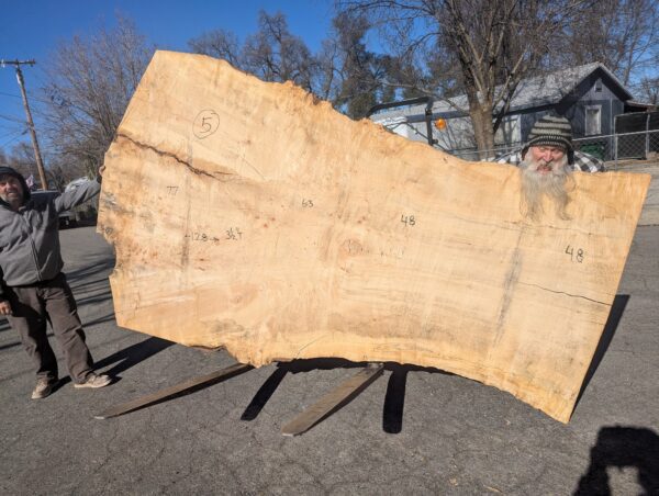 S015-6 Silver Maple Live-Edge Slab **  Call or Email for Sales & Shipping **